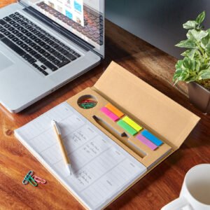 PROGRAMADOR PRISTINA